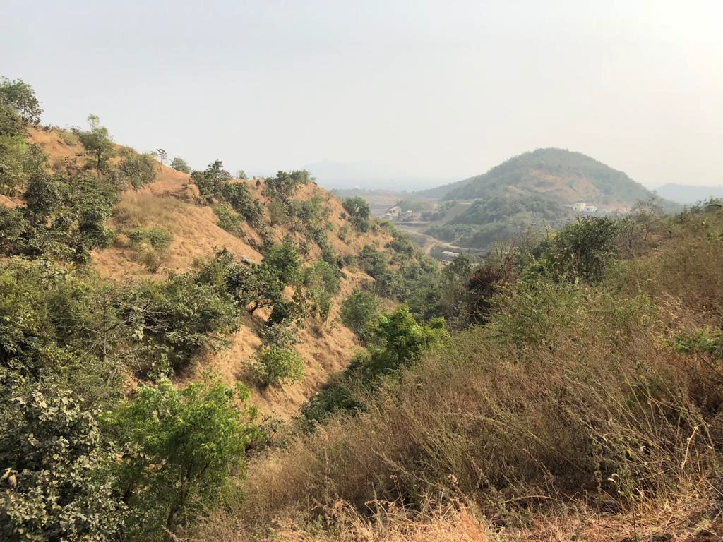 The hills at Kudus where the mining lease sits